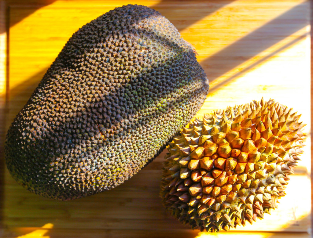 Olenkos Kitchen Blog Archive My Trip To Jamaica And Jackfruit Tree